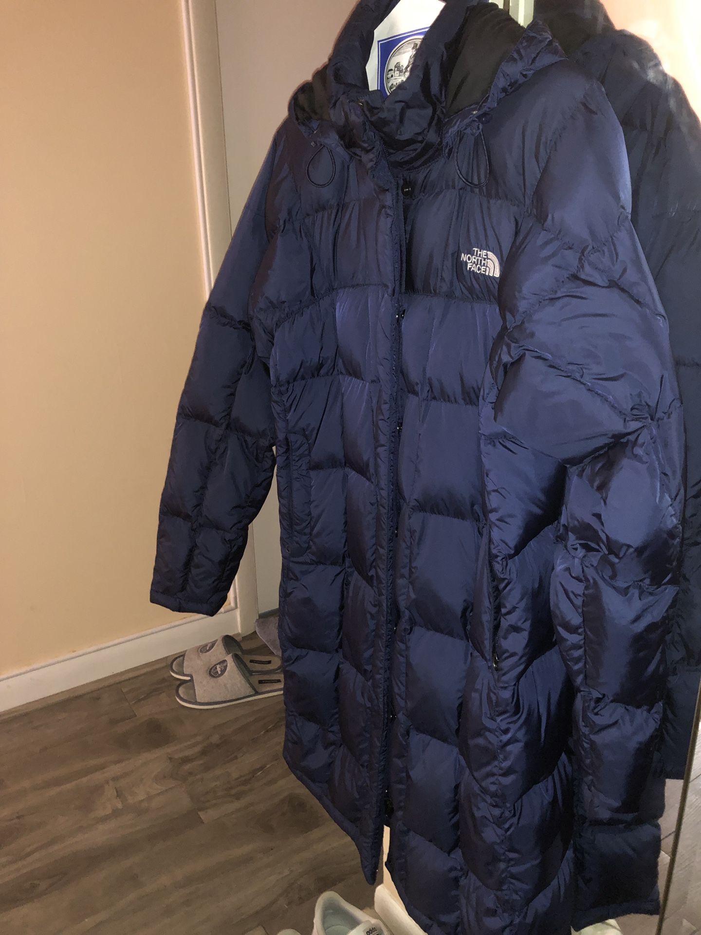 North face parka blue metallic size L