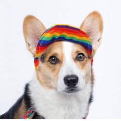 Dog/cat Rainbow 🌈 Sun Hat 👒 Size: S