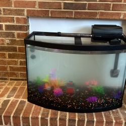 36 gal Fish Bow Tank