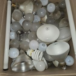 Box Of Bulbs