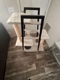 Cat scratch ladder