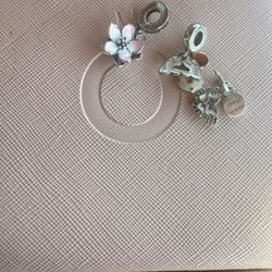 Pandora Charms 