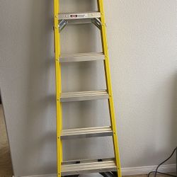 6ft Werner Ladder