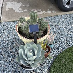🌵 Large Succulent & Cactus Planter Set – Outdoor Ready