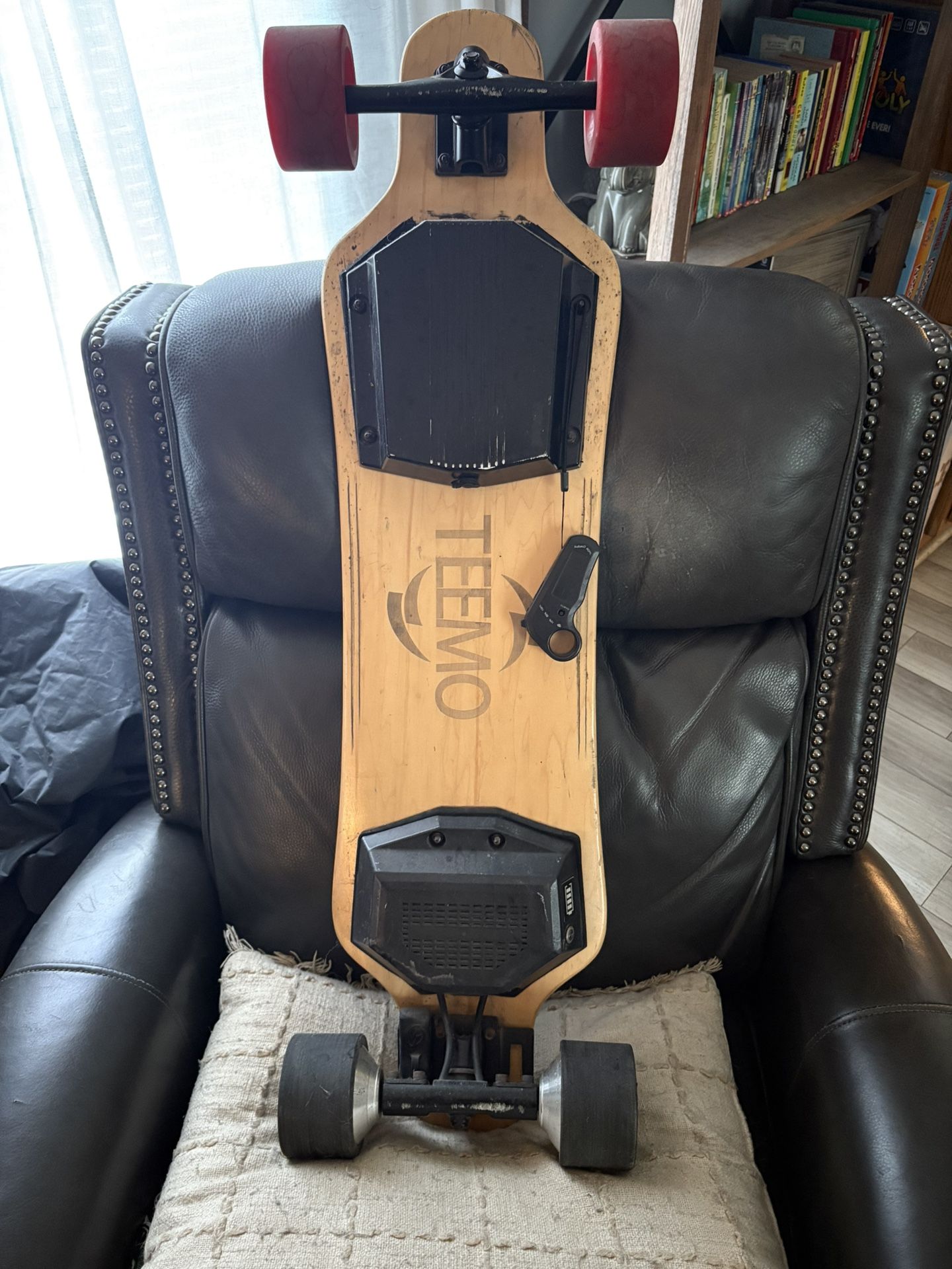 Teemo Electric Skateboard