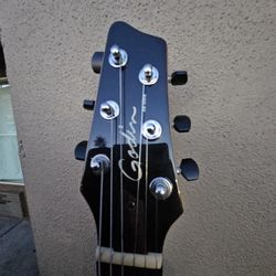Godin Guitar 