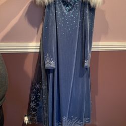 Elsa Halloween Costume