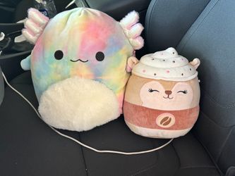 Squishmallow Plush Lot of 2