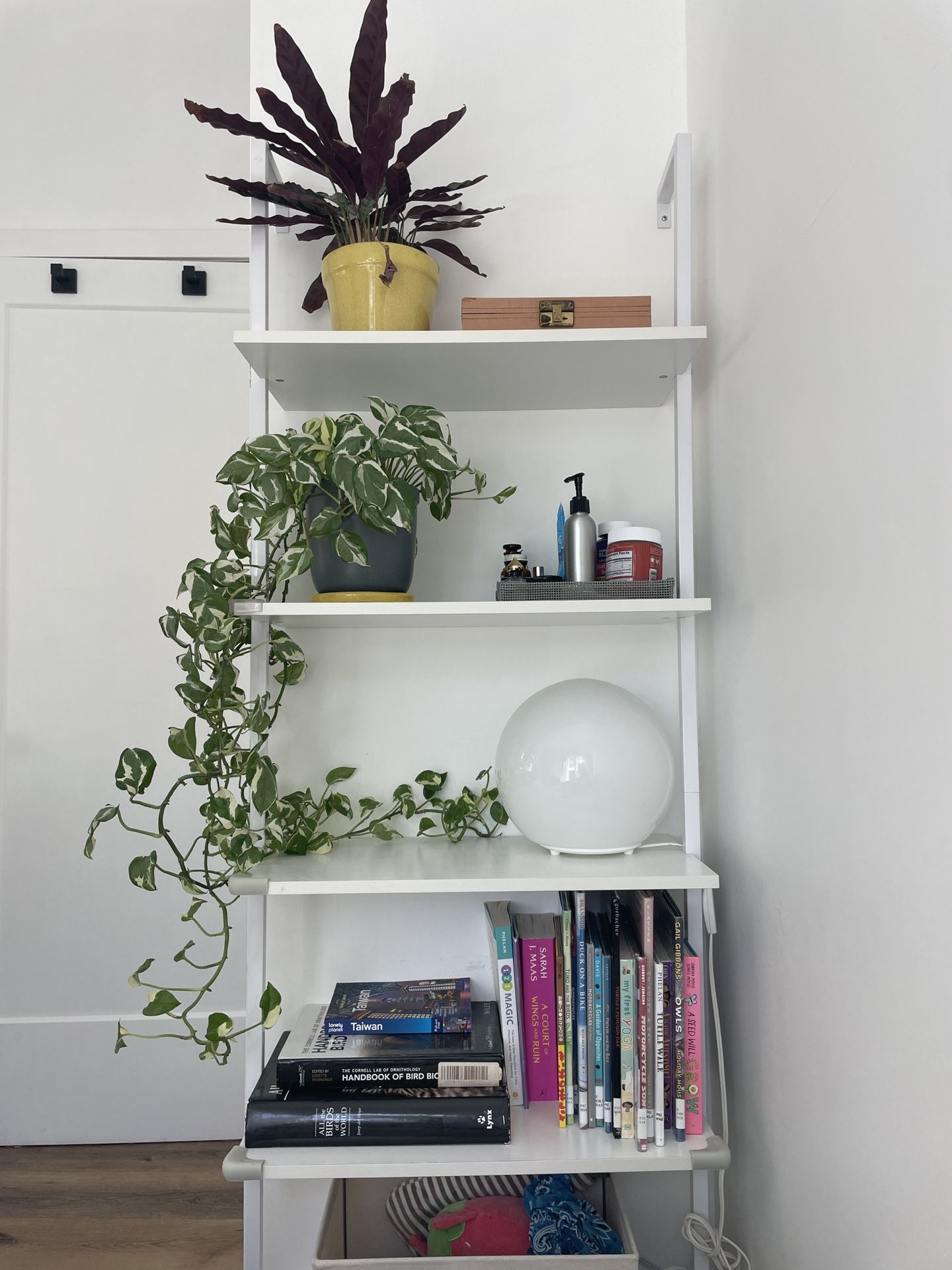 Walk Mounted Bookshelf