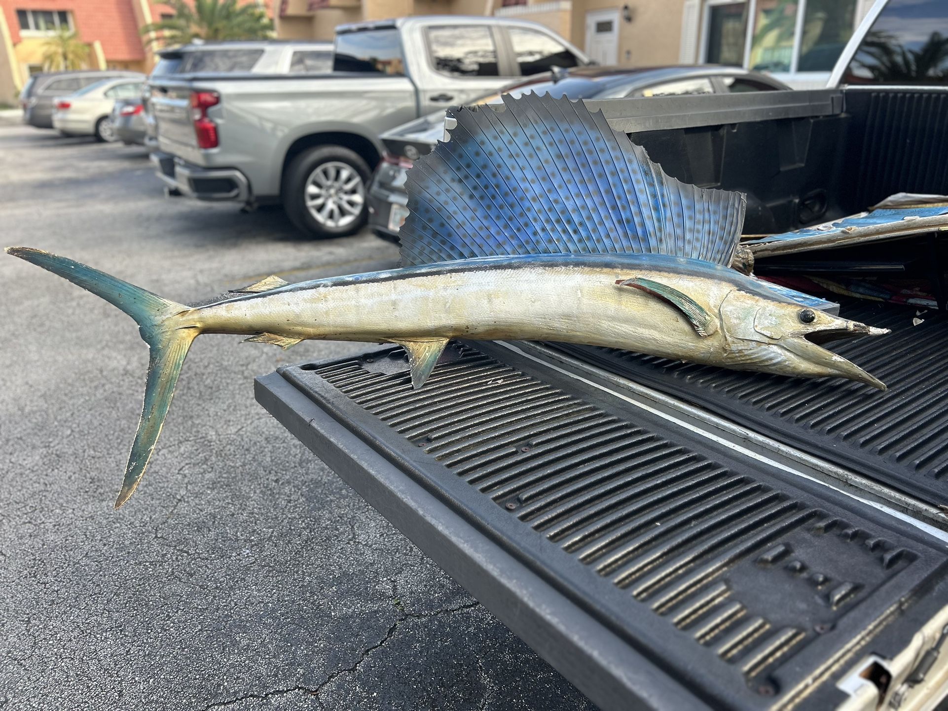Swordfish