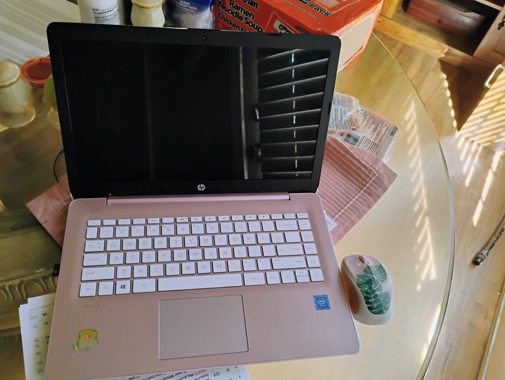 Hp Stream Laptop