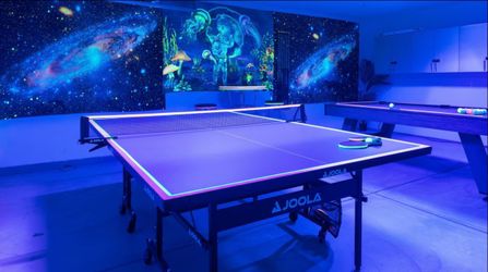 Joola ping pong table close to new