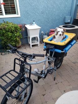 Cargo Bike