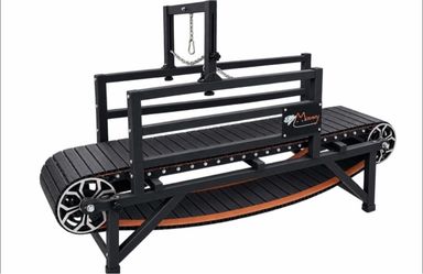 Dog treadmill