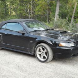 1999 Ford Mustang