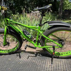 Mongoose fat tire bike