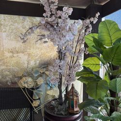 Plant with three pots and deco
