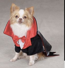 Halloween Dracula 🧛♂️ Costume For pet