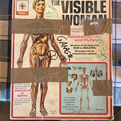 The Invisible  Woman Educational Game
