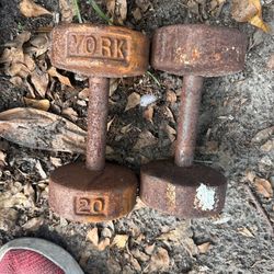 Dumbells 20 Lb Set 