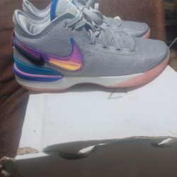 Nike Zoom Lebron Nxxt Gen Size 10
