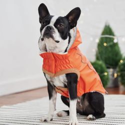 Insulated Waterproof Rain Coat For Dogs