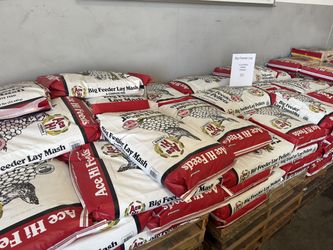Big Feeder Lay Feed for Poultry in Crumble, Pellets and Mash