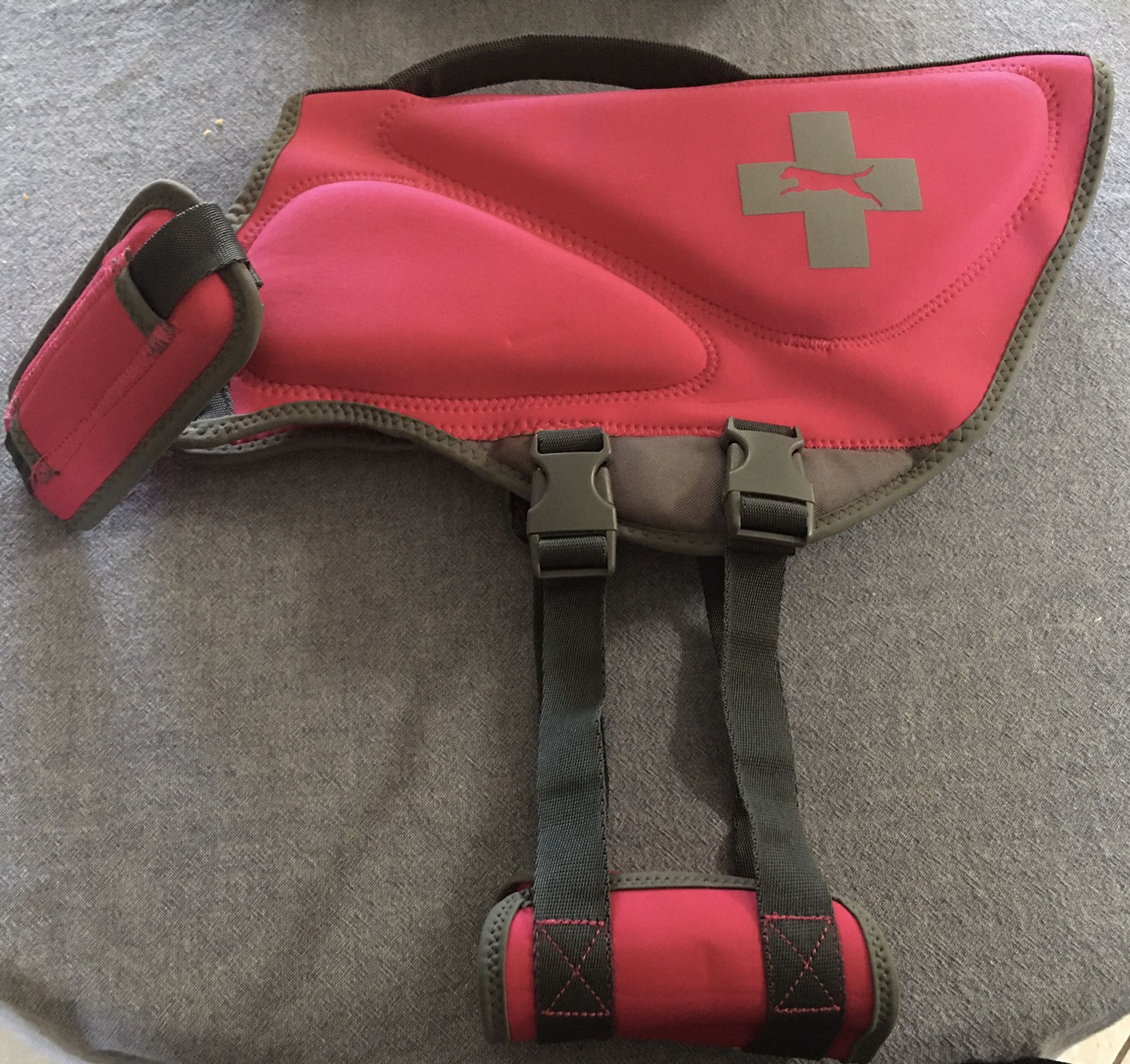 Top Paw neoprene Life Jacket For Dogs