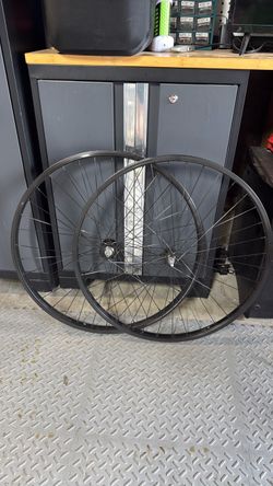 29” bike rims