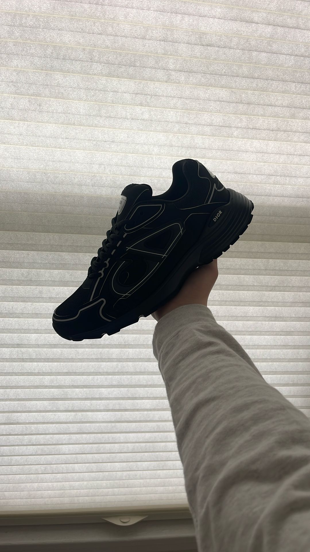 Dior b30
