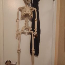 Skeleton