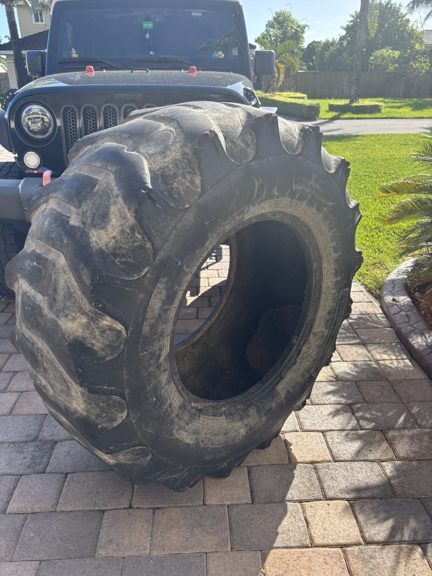 Tractor Tire- Used To Exercise