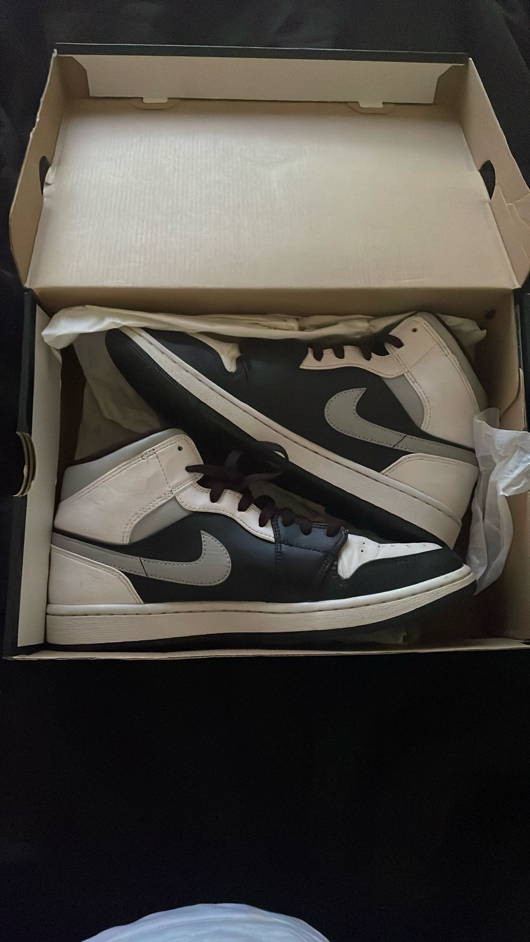 Air Jordan 1 Mids