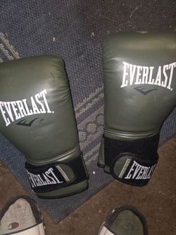 Brand new Everlast Boxing gloves
