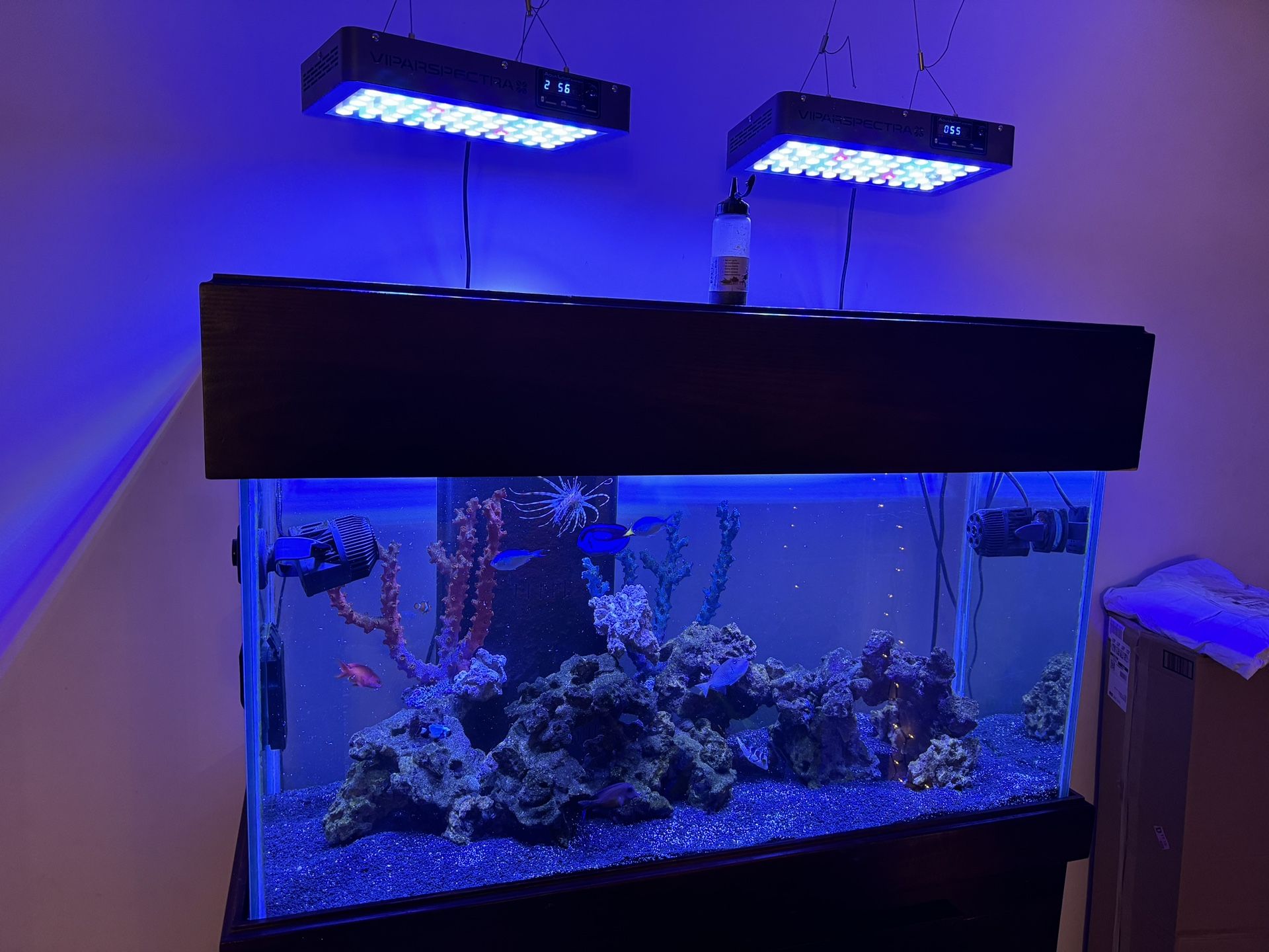 90 Gallon Aquarium