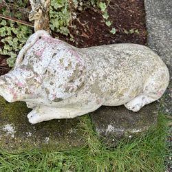 Concrete Garden Pig