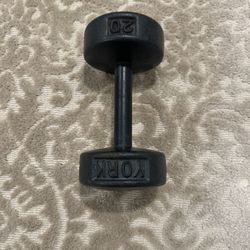 Dumbbell, 20lbs