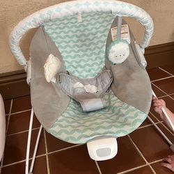 Baby Bouncer