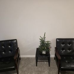 Two Blaxck  Chairs Like New 3 month Old 
