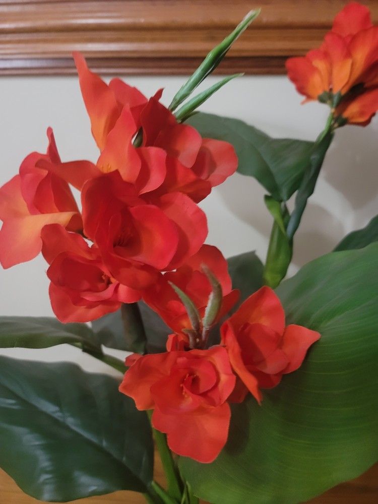 Faux Canna Lily Plant
