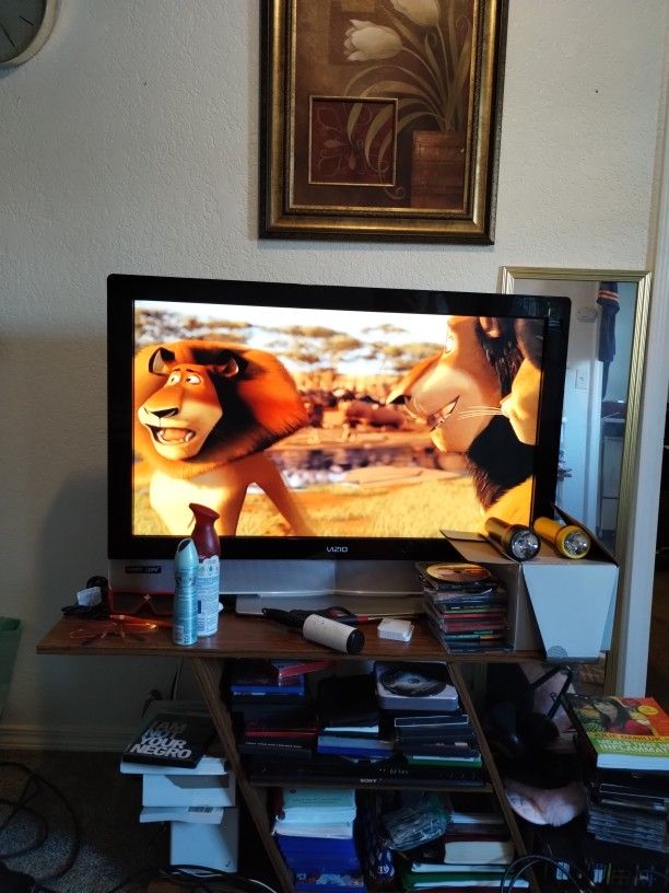 Vizio Hd Television