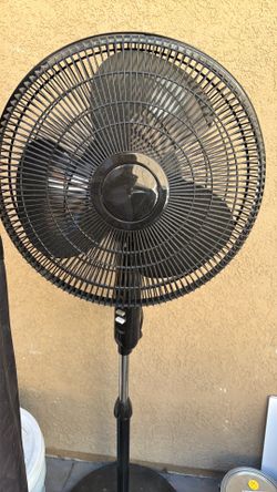 Fan