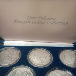 Morgan Dollar Collection