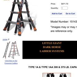 Little Giant DarkHorse Ladder 