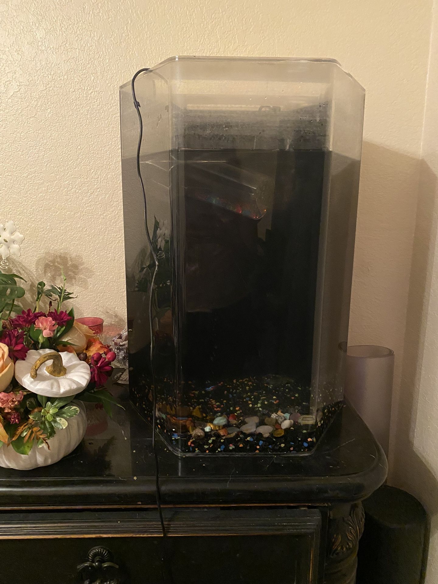 25 Gallon Fish Tank With Filter
