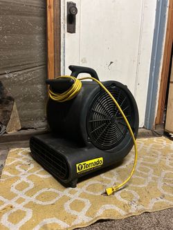 Fan
