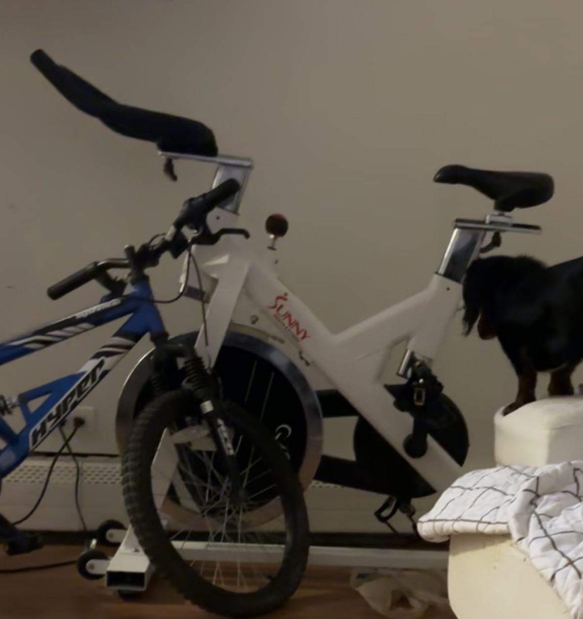Exercise Bike , Sunny Brand