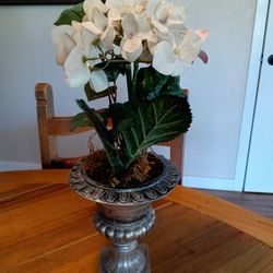 Decorative, Artificial, Plant, Plants 