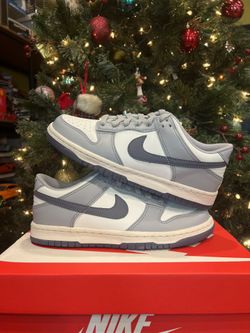 Nike Dunk Low GS “Platinum Tint Light Carbon” Size 5.5Y/7W 