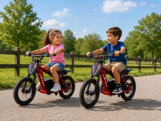 Brand New 24V Electric Bike with Li-ion Battery